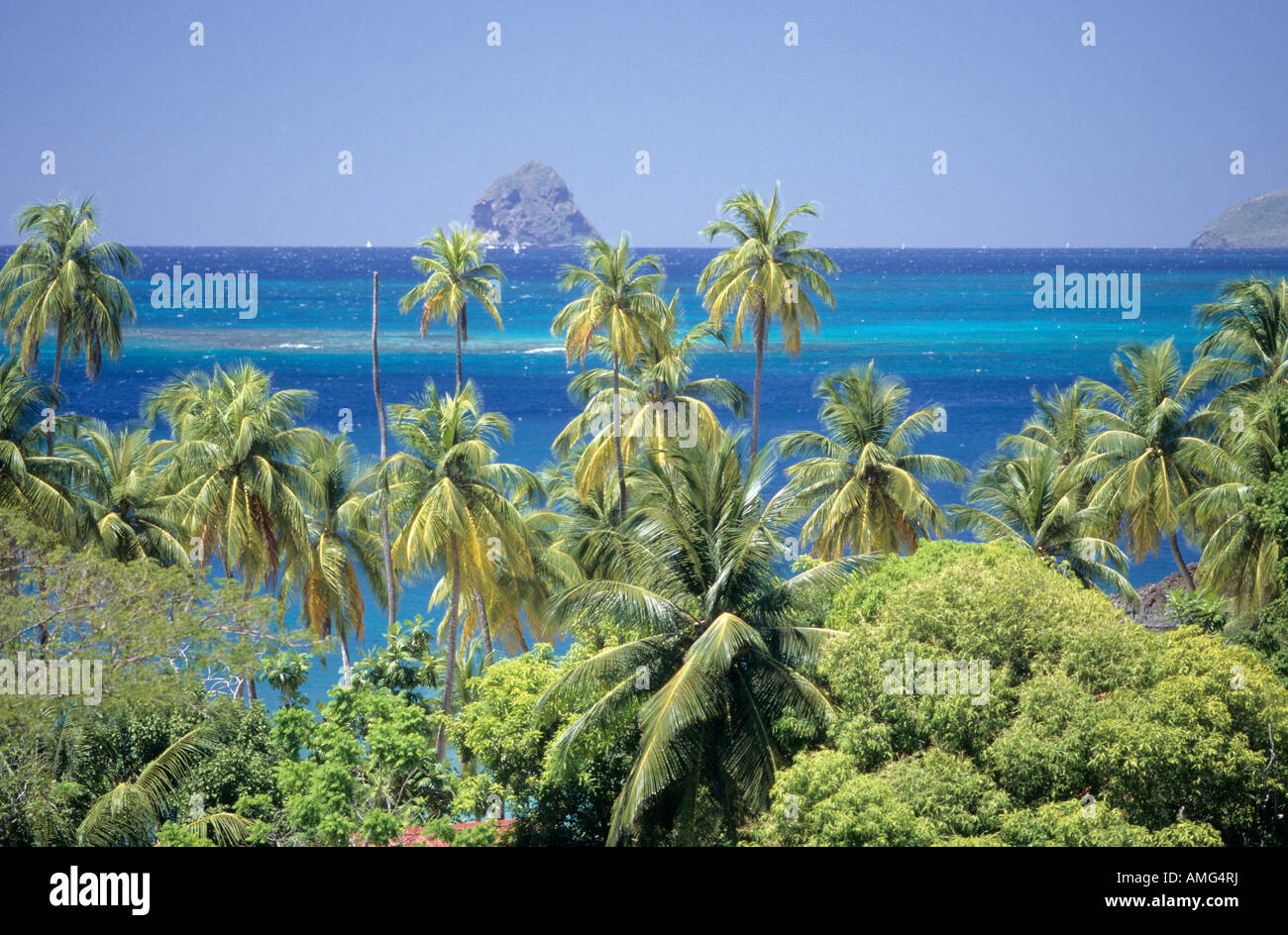 Anse Figuier West Indies, Martinique, Diamant beach Stock Photo