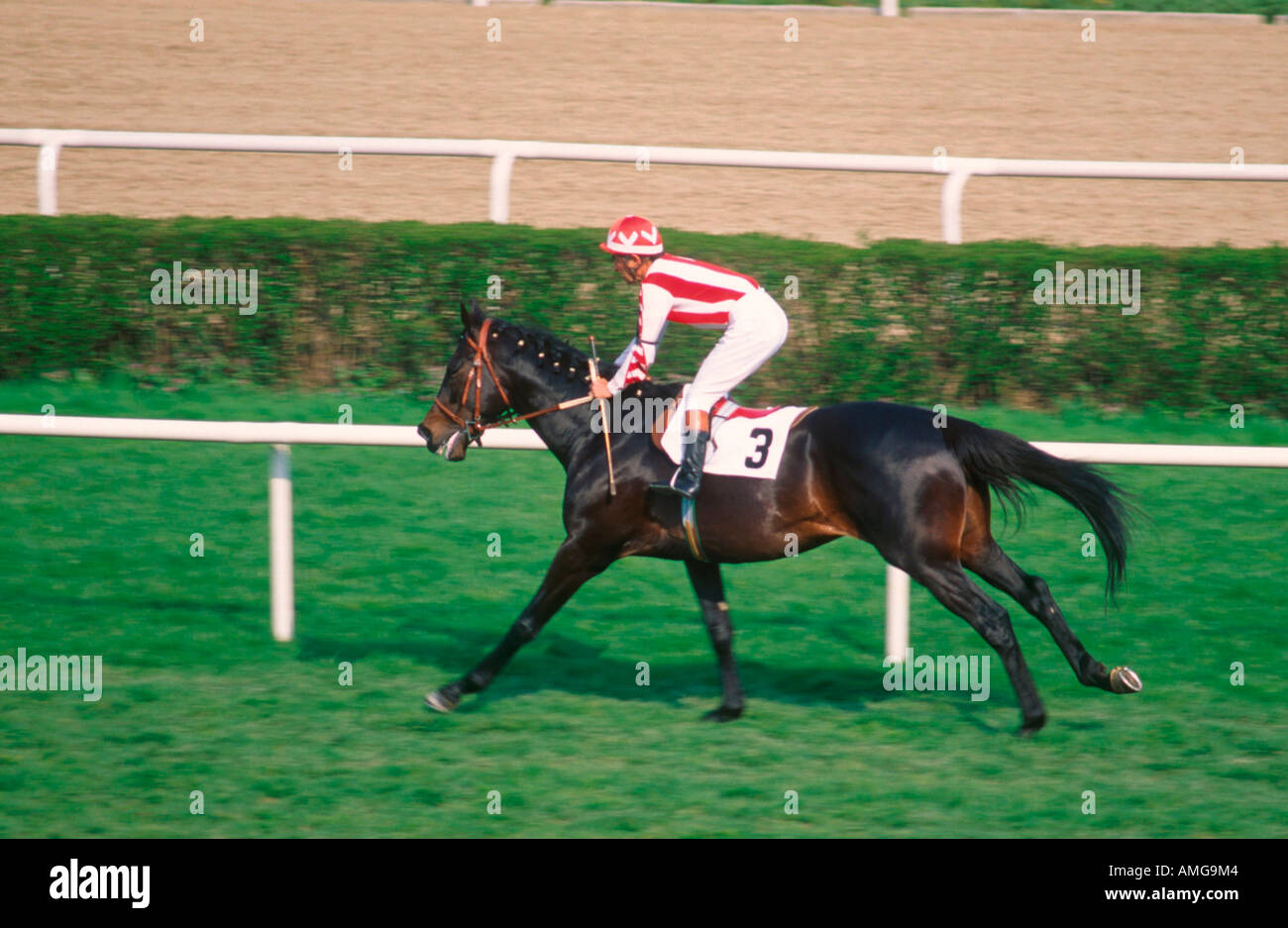 Istanbul horse race hi-res stock photography and images - Alamy