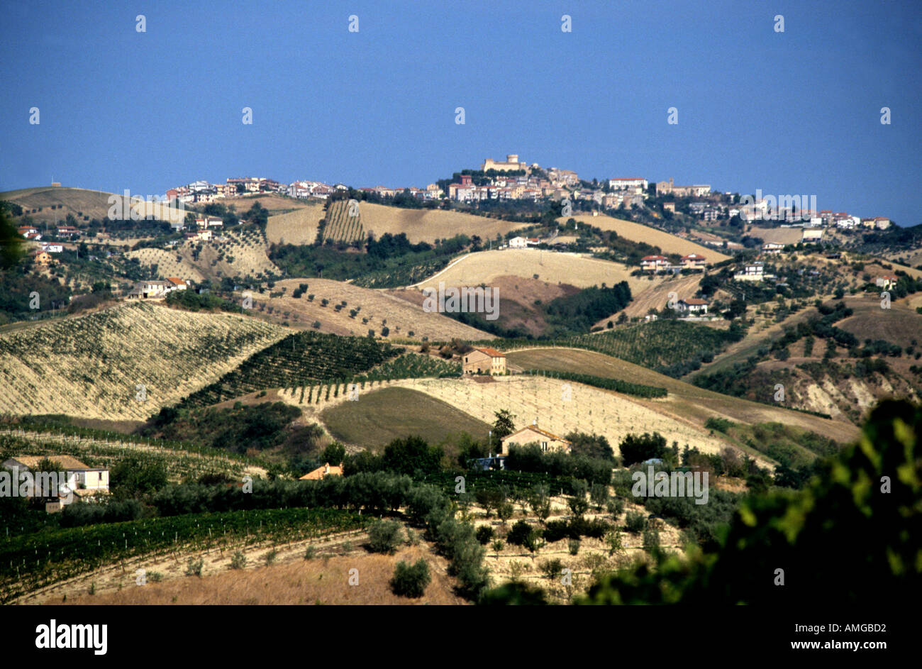 typical undulating patchwork countryside of le Marche ,The Marches,Italy Stock Photo