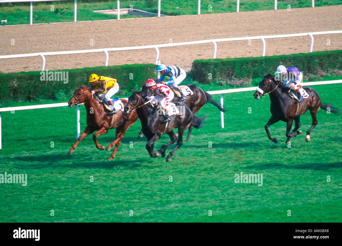 Istanbul horse race hi-res stock photography and images - Alamy