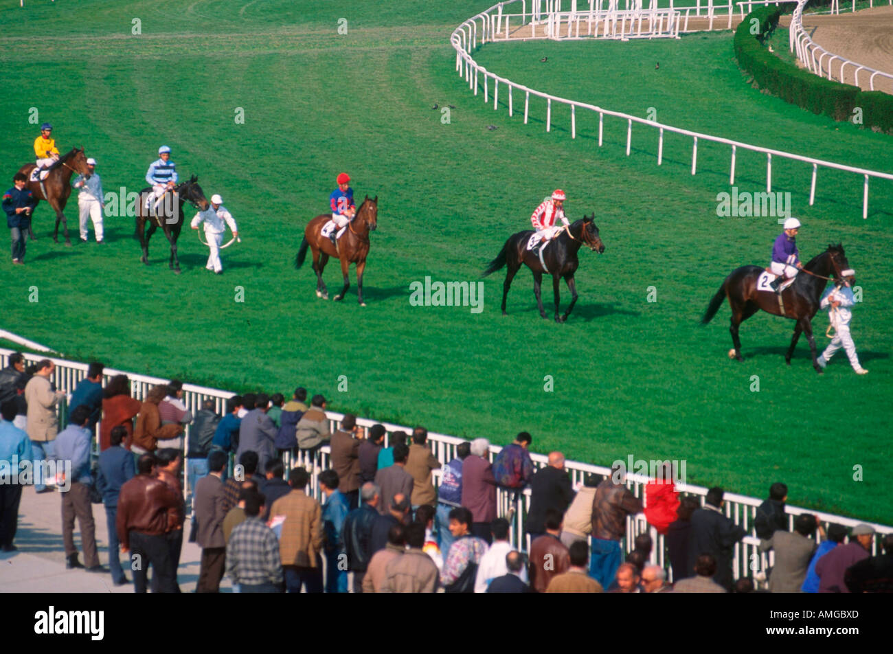 Istanbul horse race hi-res stock photography and images - Alamy