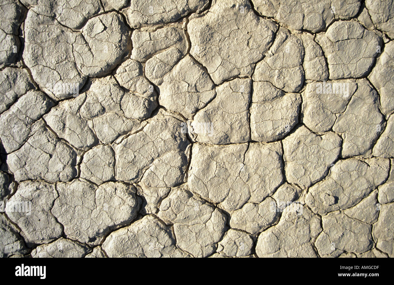 Parched clay pan surface Stock Photo Alamy