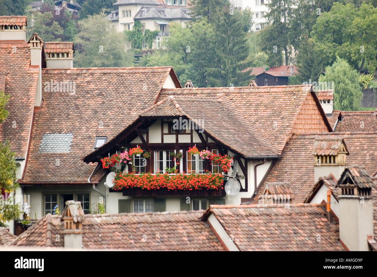 Switzerland Berne Houses in a quiet neighbourhood Stock Photo Alamy