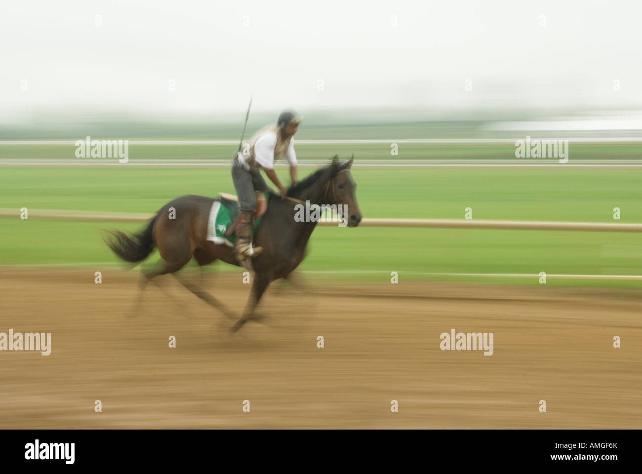 Morning warm ups at the Thoroughbred Center in Lexington, Kentucky. Stock Photo