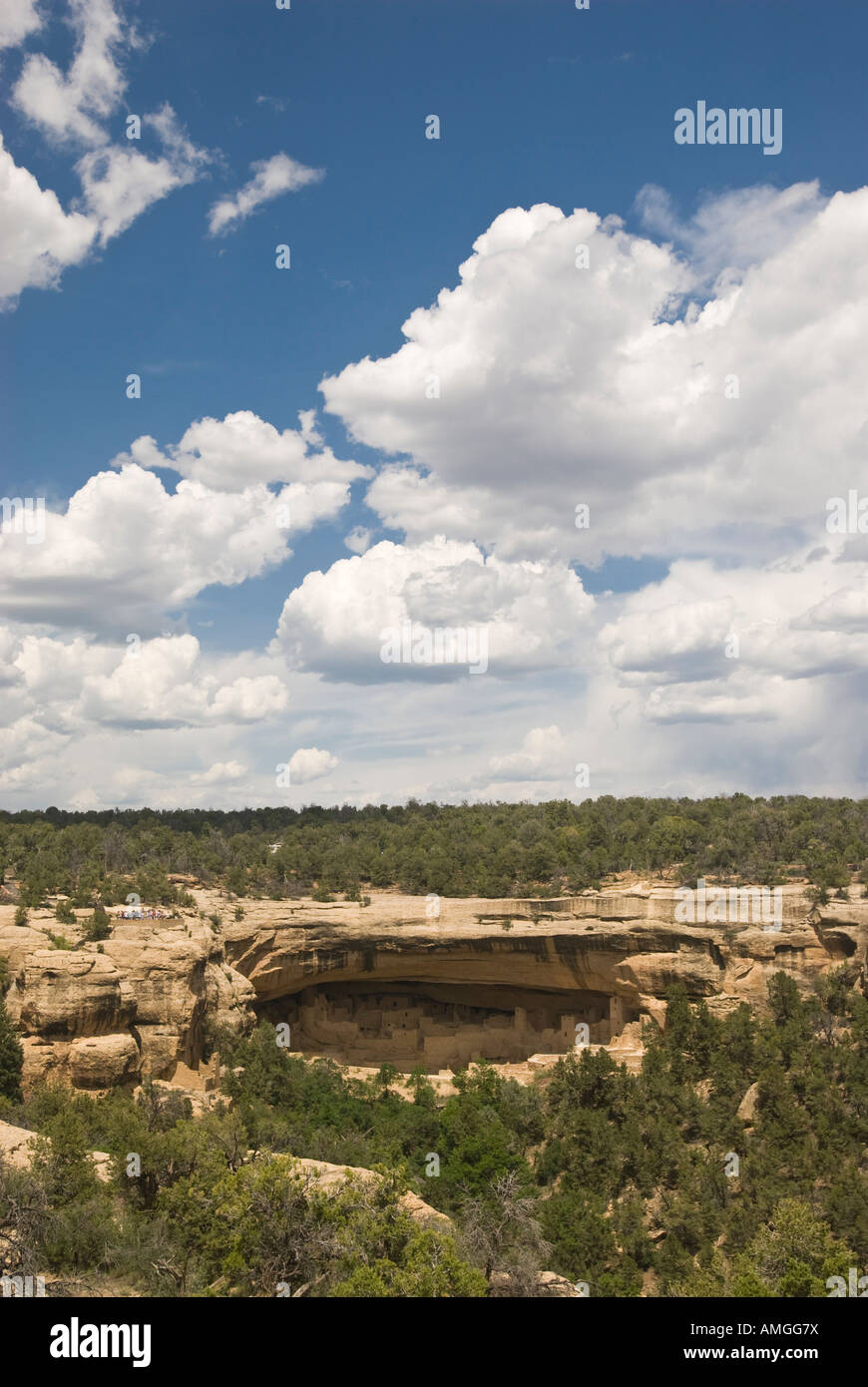 Cliff Palace ruins at Mesa Verde National Park in Colorado Stock Photo ...