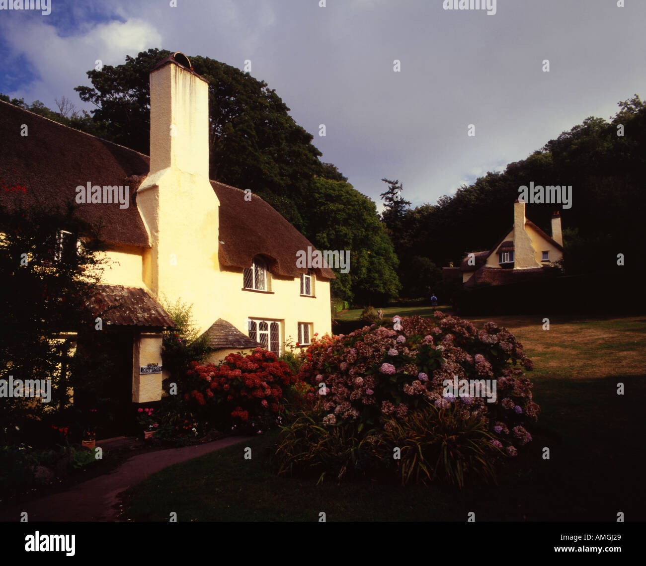Selworthy cottages Holnicote estate Exmoor Somerset UK Stock Photo Alamy