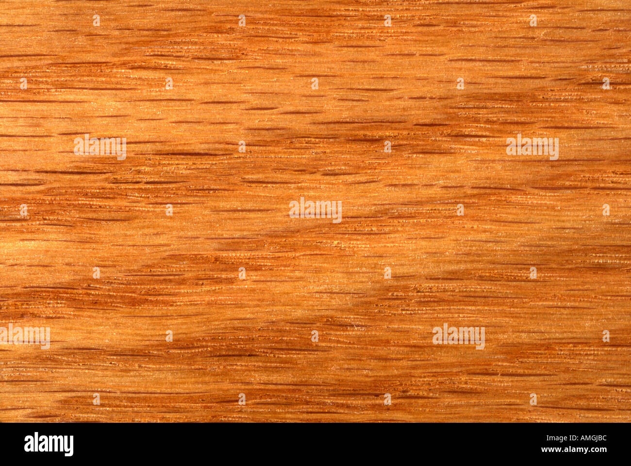 Oak wood grain pattern close up Stock Photo