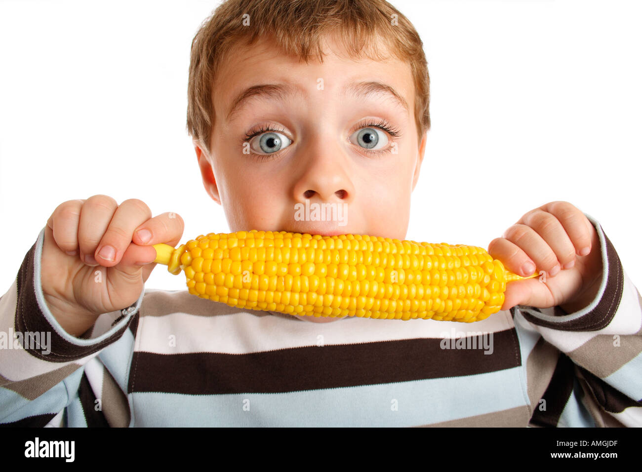 Little boy eating corn on the cob Stock Photo Alamy