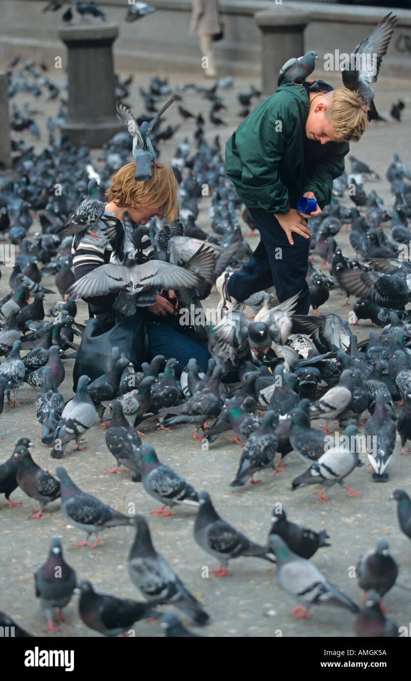 Feeding Street Pigeons Trafalgar Square London UK Stock Photo Alamy