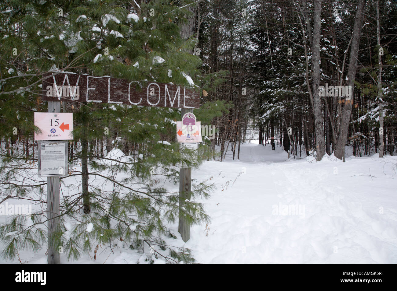 Bartlett New Hampshire in the White Mountains Stock Photo Alamy