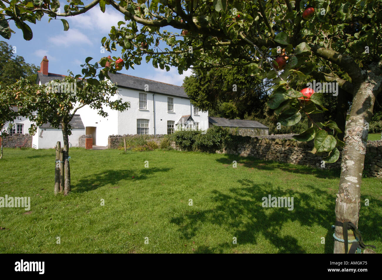 Farmhouse and Apple Tree Museum of Welsh Life St Fagans Cardiff Suburbs South Wales Stock Photo