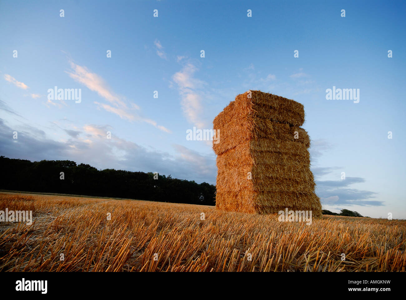 stack of straw bales in a field Stock Photo - Alamy