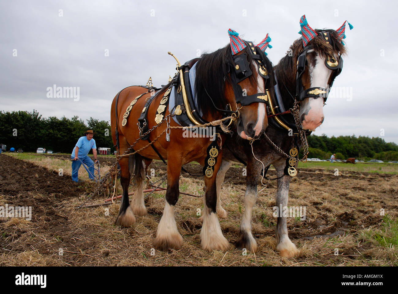 Horse drawn harrow hires stock photography and images Alamy