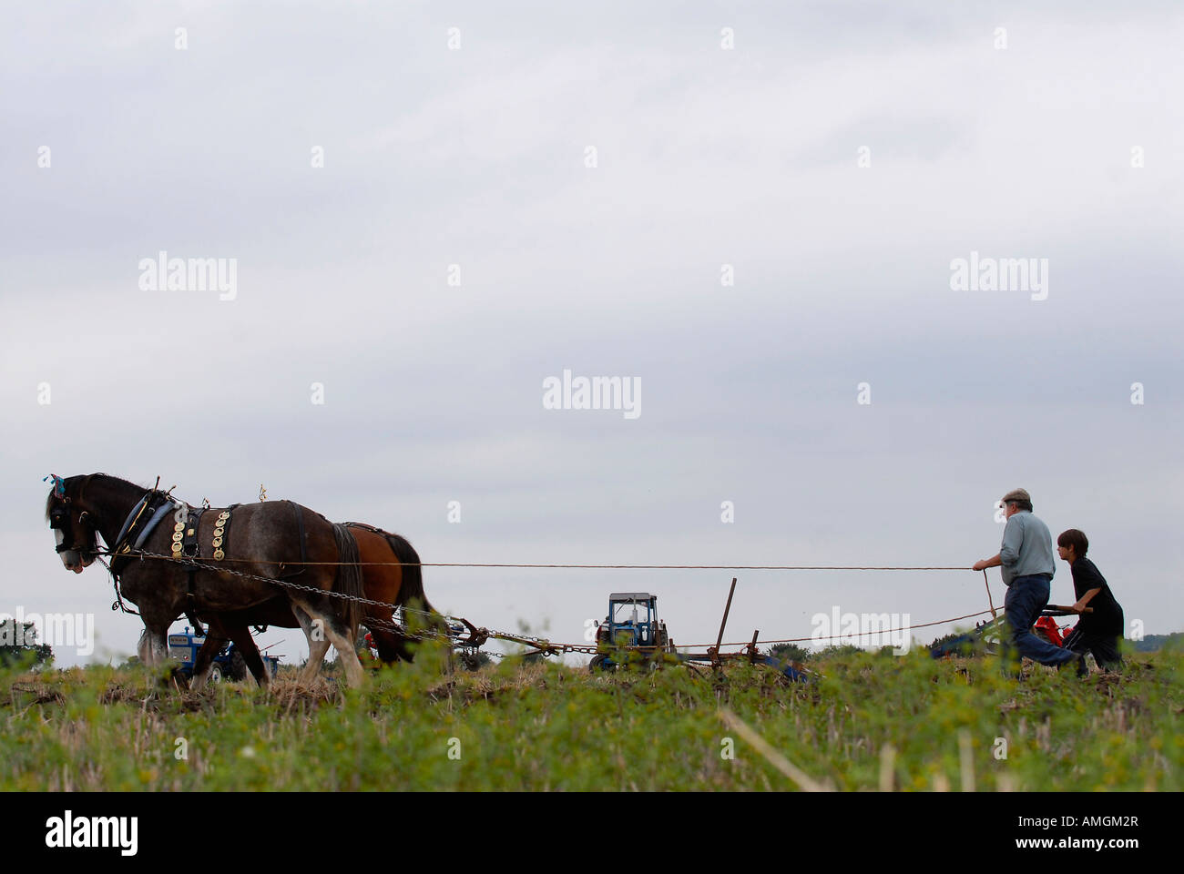 Horse drawn harrow hires stock photography and images Alamy