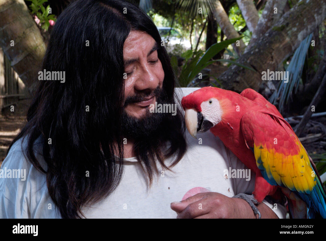 Carmelo Chambor Yuk with pet guacamaya/lapa roja/scarlet macaw (Ara macao) in the Lacandon rainforest. Stock Photo