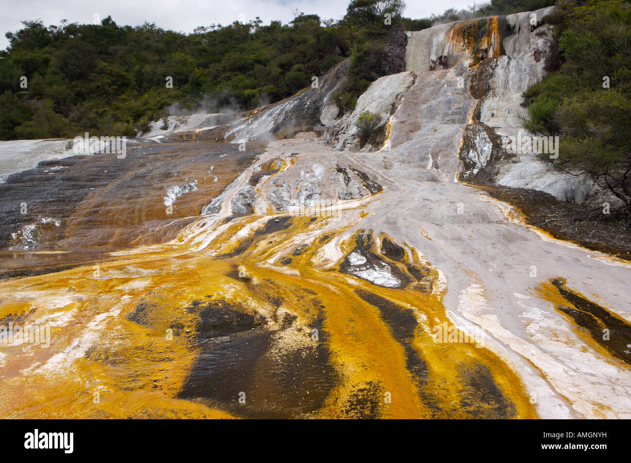 Hot Springs Algae above the Emerald Terraces and below Sapphire Geyser at Orakei Korako, near Taupo, North Island, New Zealand. Stock Photo