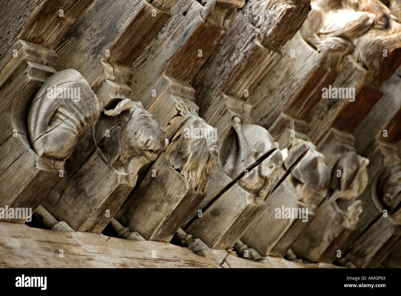 mirepoix arcaded rafters carved hundreds unique portrayals animals ...