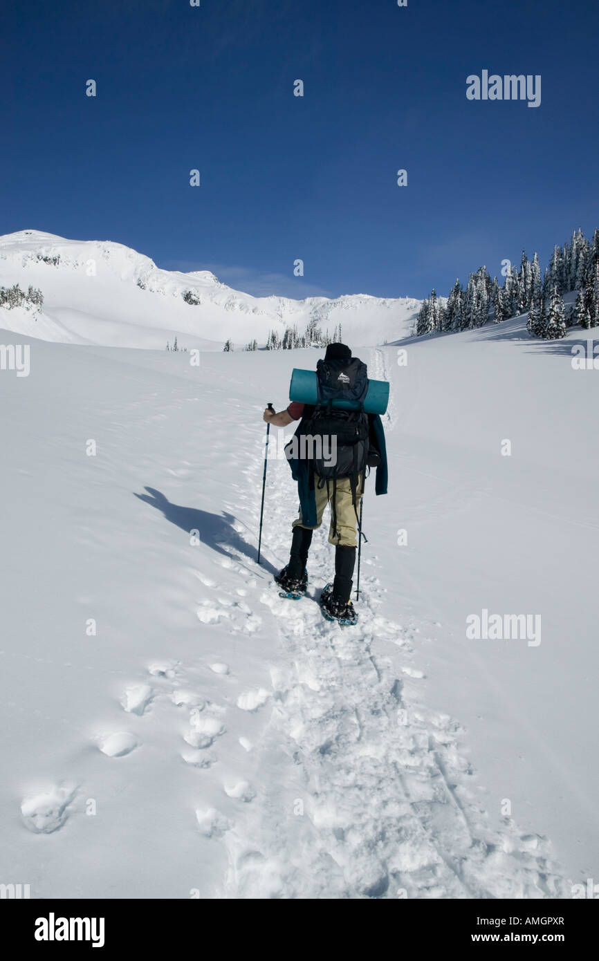 Man snowshoeing in Mt. Rainier wilderness backcountry Stock Photo Alamy