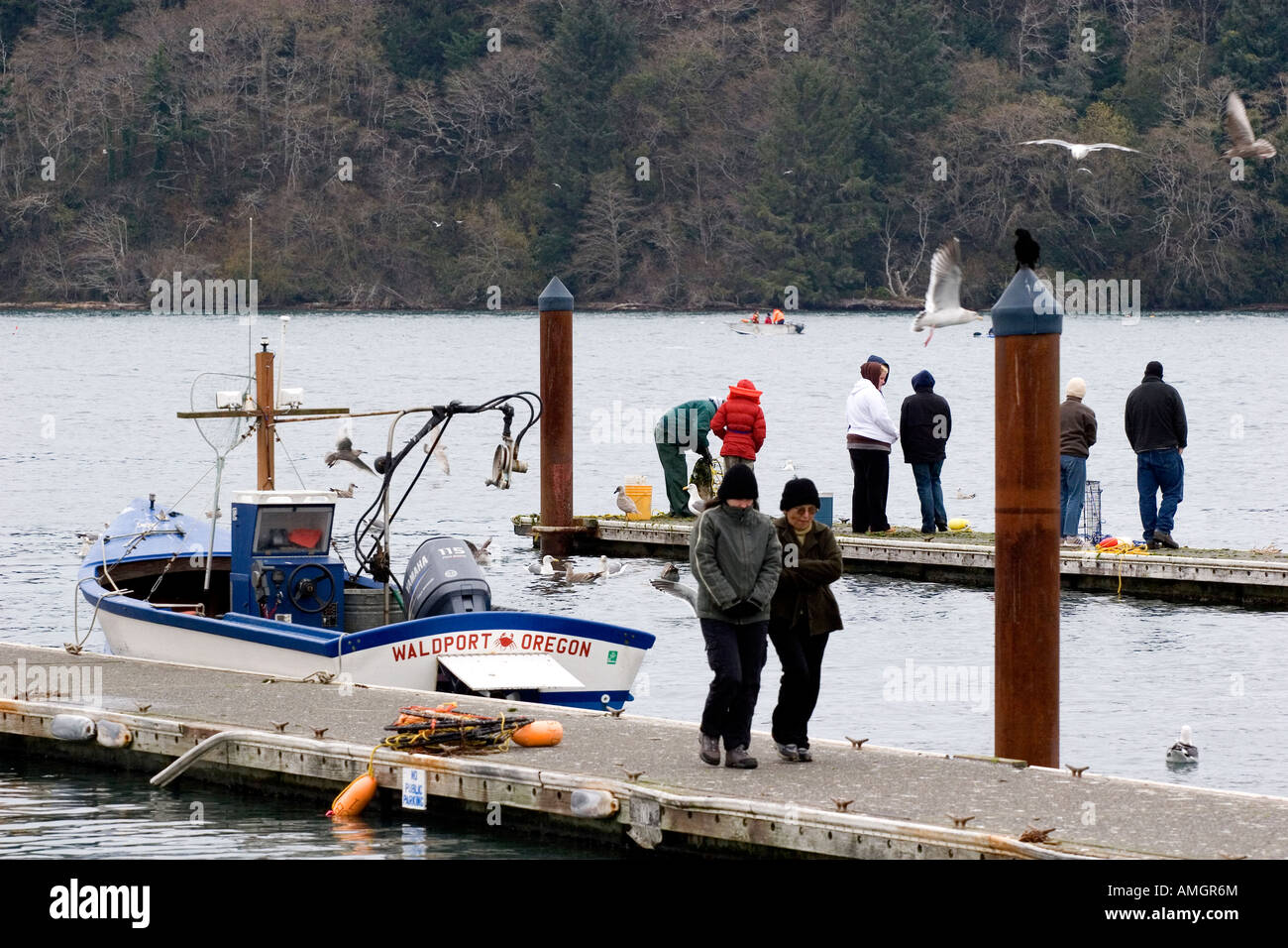 Recreational crabbing on the Alsea Bay in Waldport Oregon Stock Photo Alamy