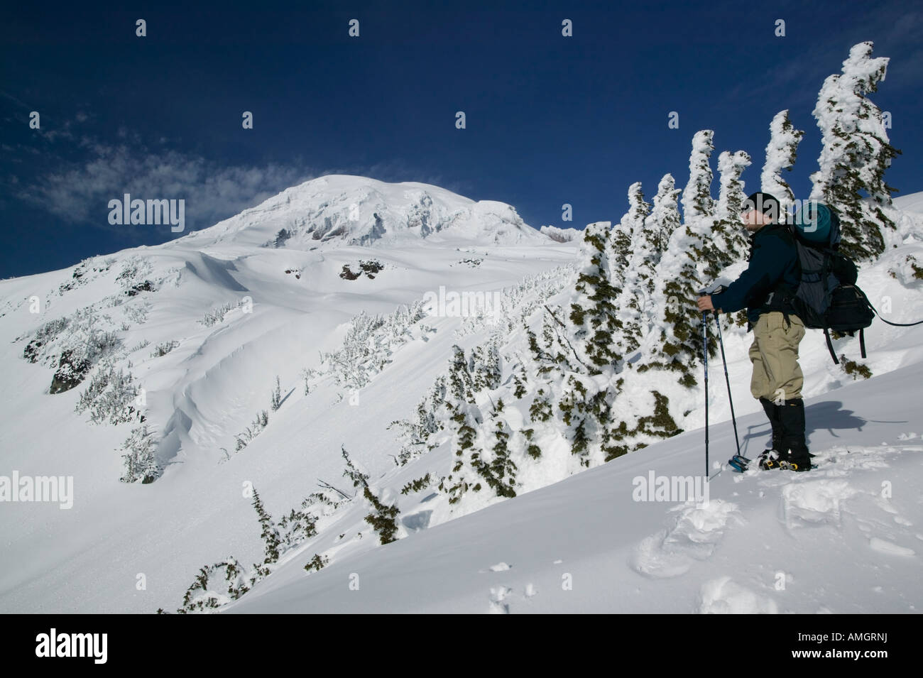 Man snowshoeing in Mt. Rainier wilderness backcountry Stock Photo Alamy