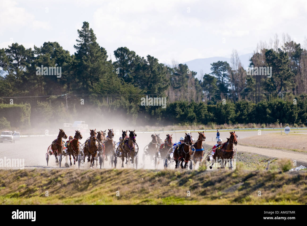 Trotting or Harness Racing at Rangiora