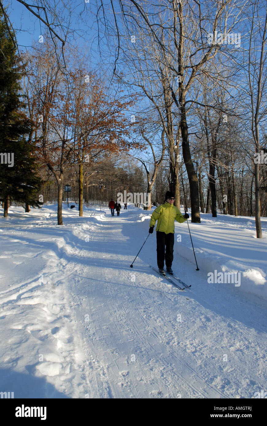 Cross country skiing in the Mont Royal Park Montreal Quebec canada Stock Photo