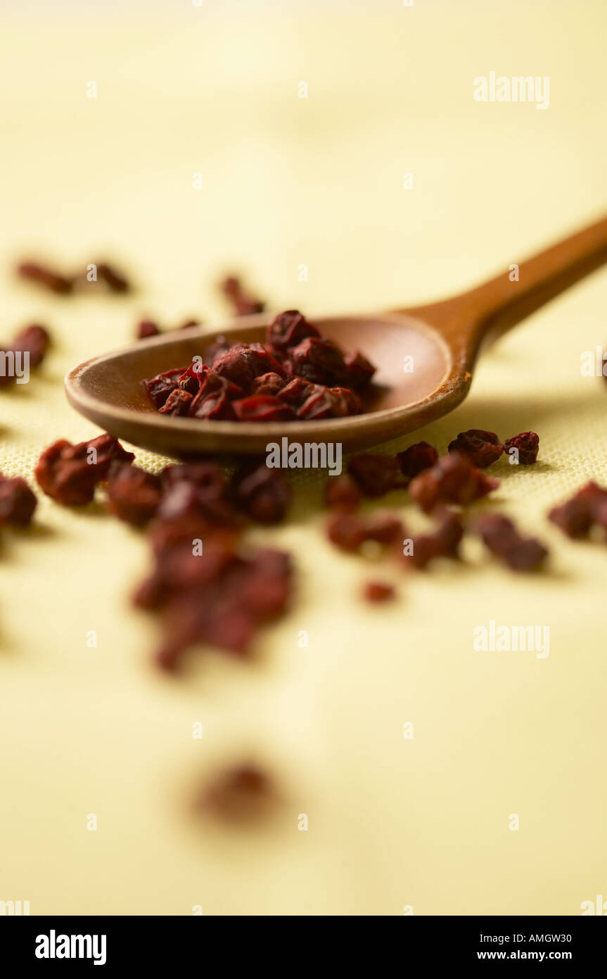 Dried berries of Schisandra Stock Photo Alamy