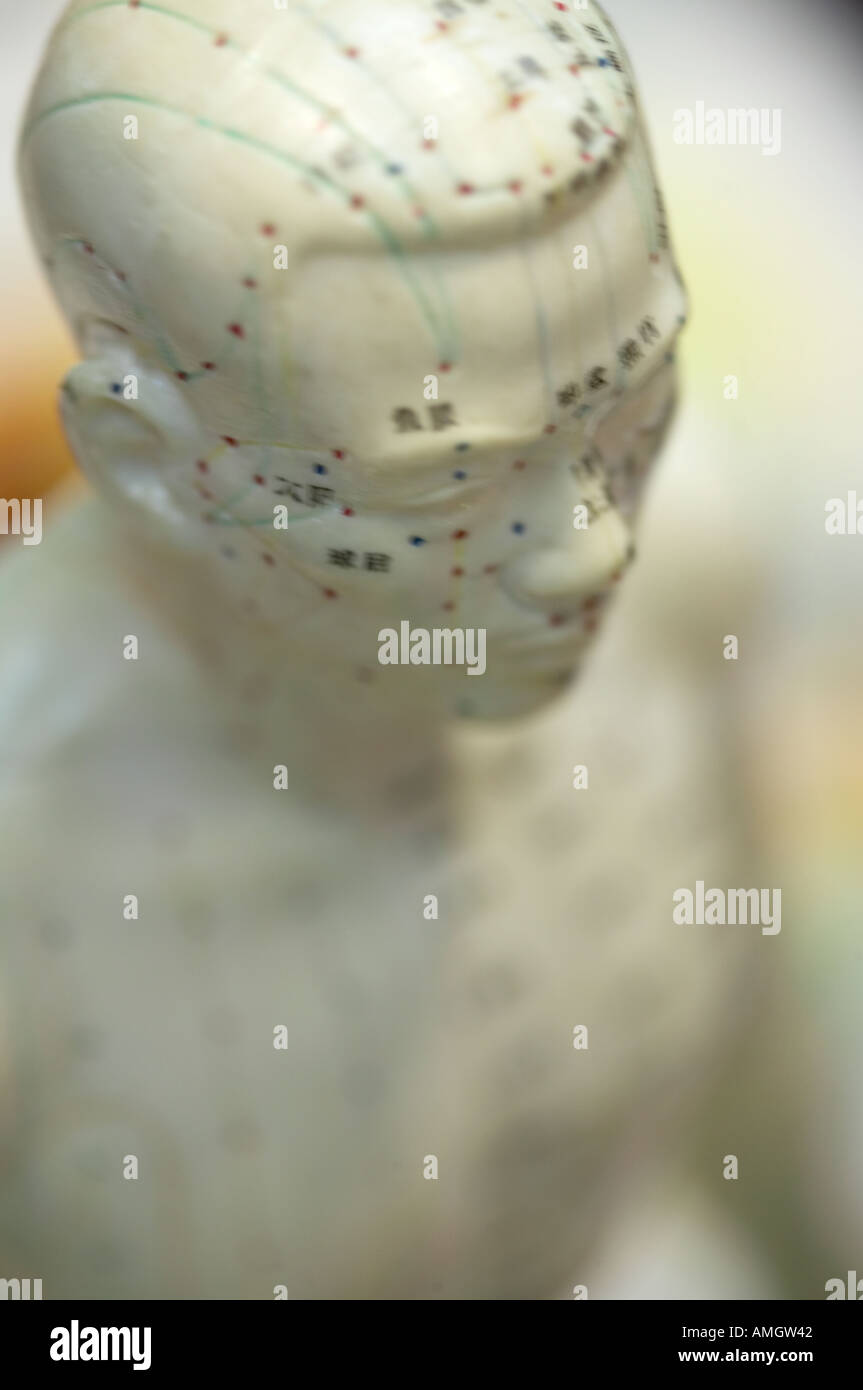 A model of human body Stock Photo Alamy