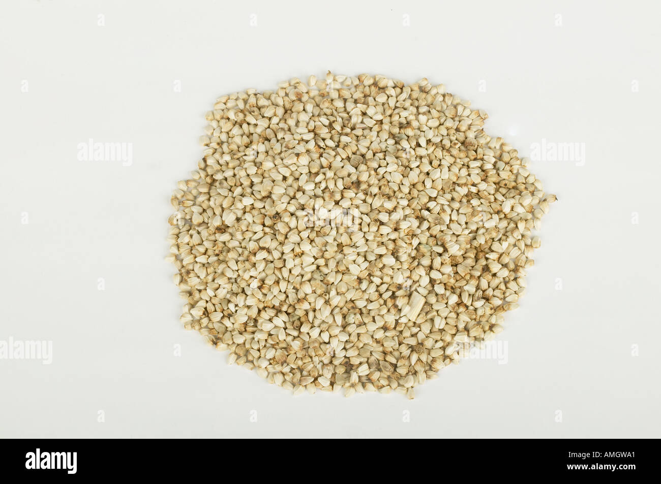 Chinese traditional medicine Stock Photo Alamy