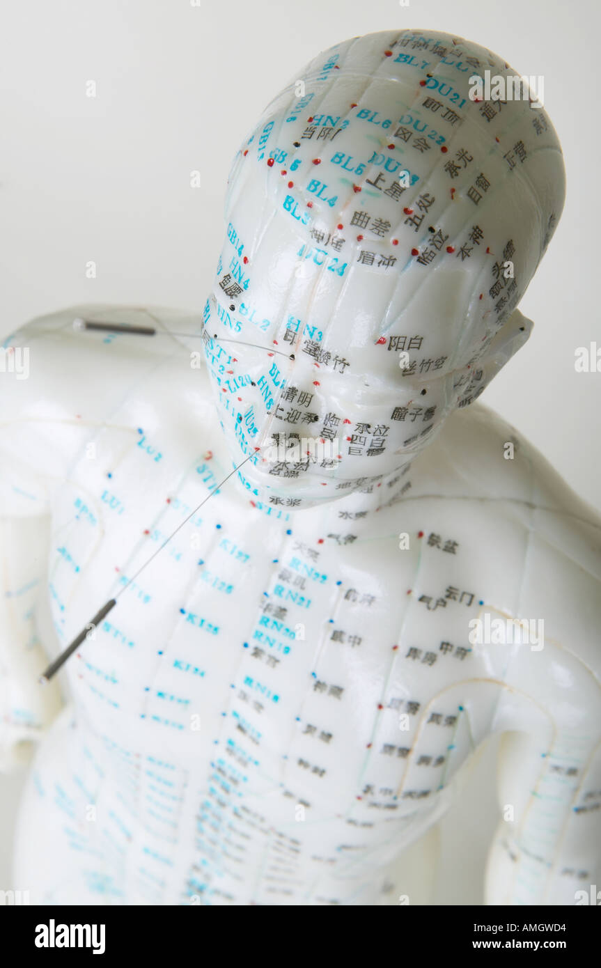 A doll with acupuncture chart Stock Photo Alamy