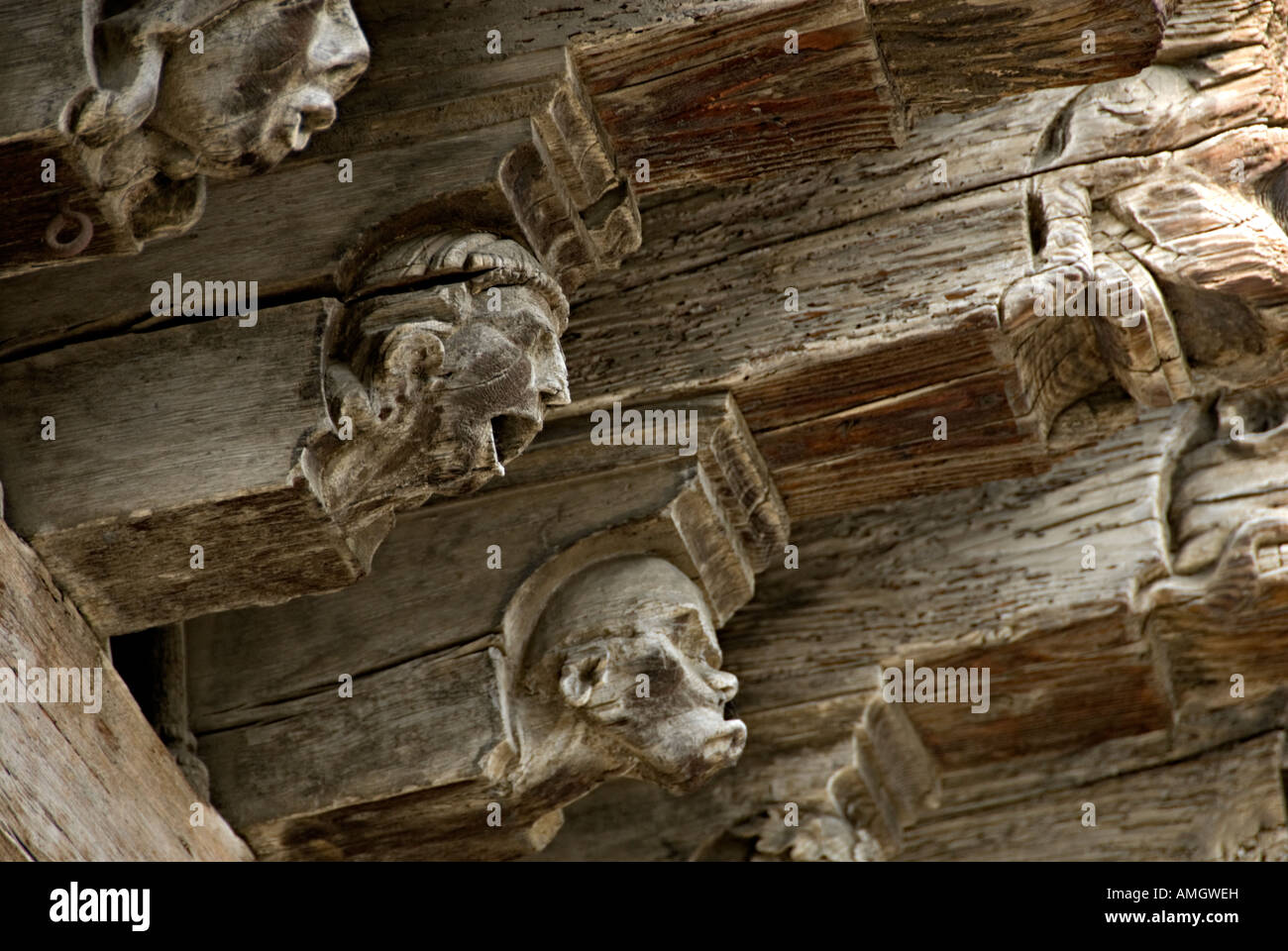 mirepoix arcaded rafters carved hundreds unique portrayals animals ...