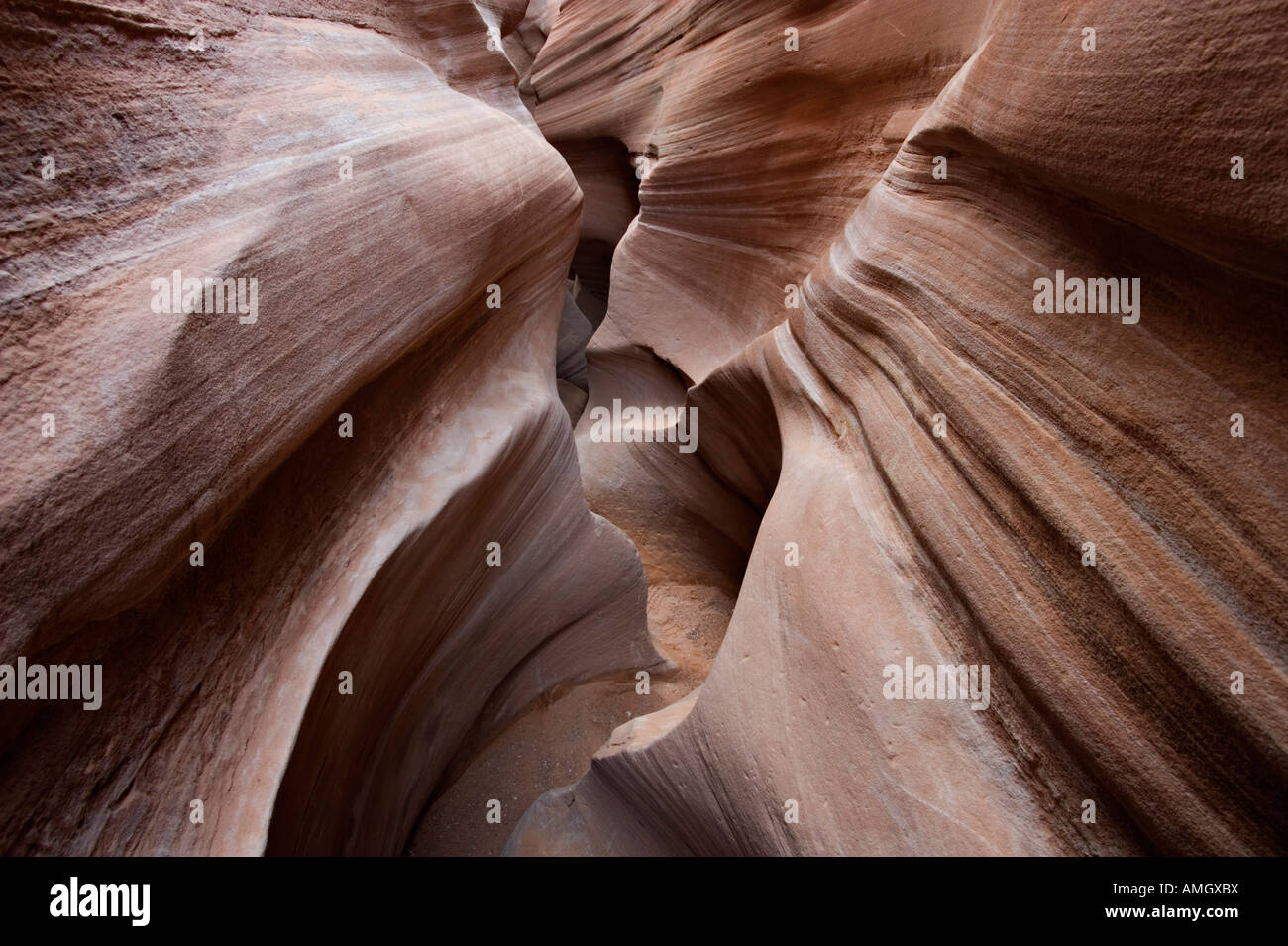 Sandstone narrows in Peek a Boo slot canyon near Escalante in Grand Staircase National Monument Utah USA Stock Photo