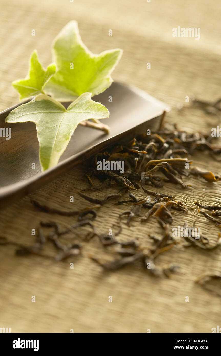 Dried green tea leaves Stock Photo Alamy
