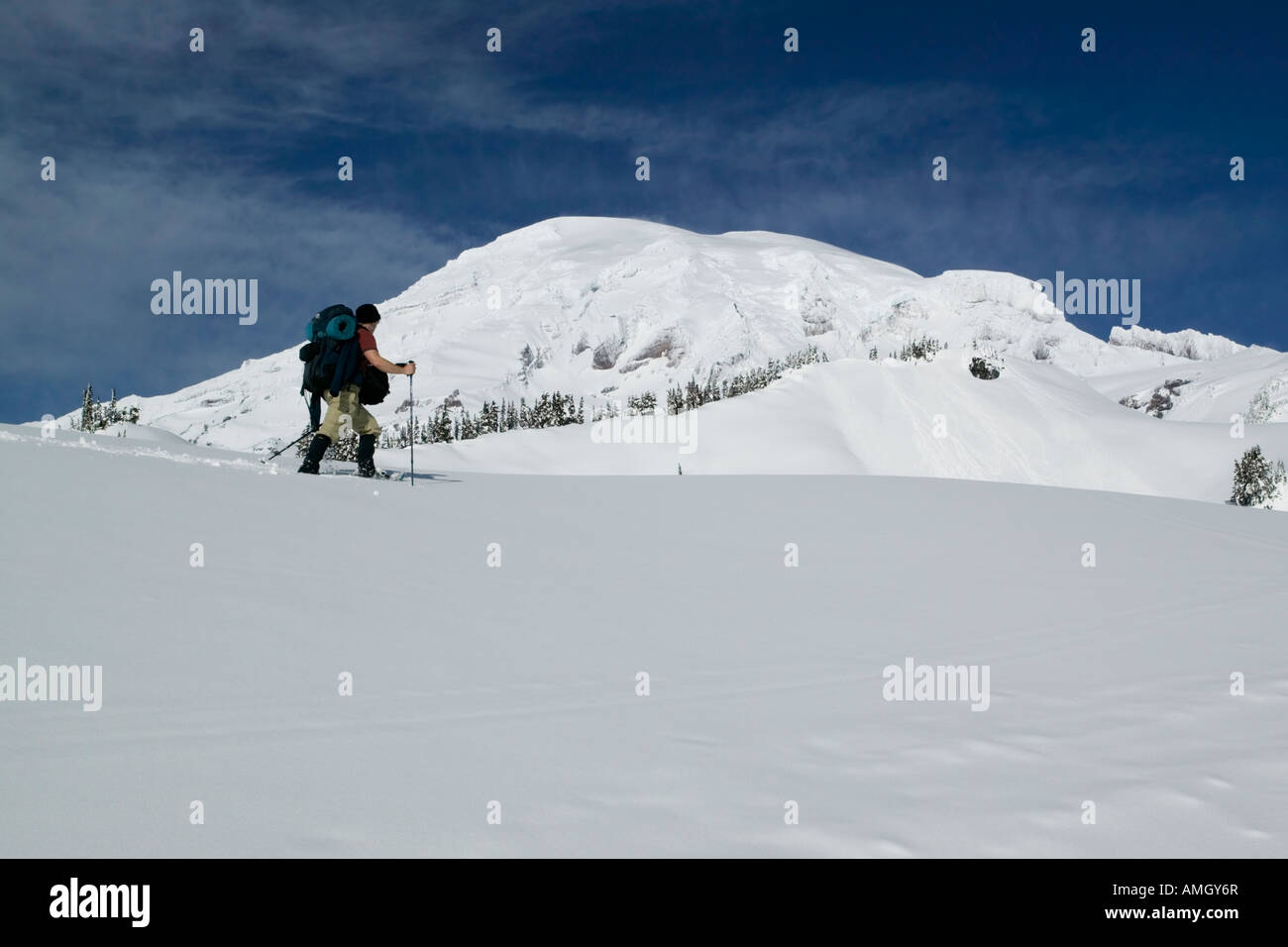 Man snowshoeing in Mt. Rainier wilderness backcountry Stock Photo Alamy