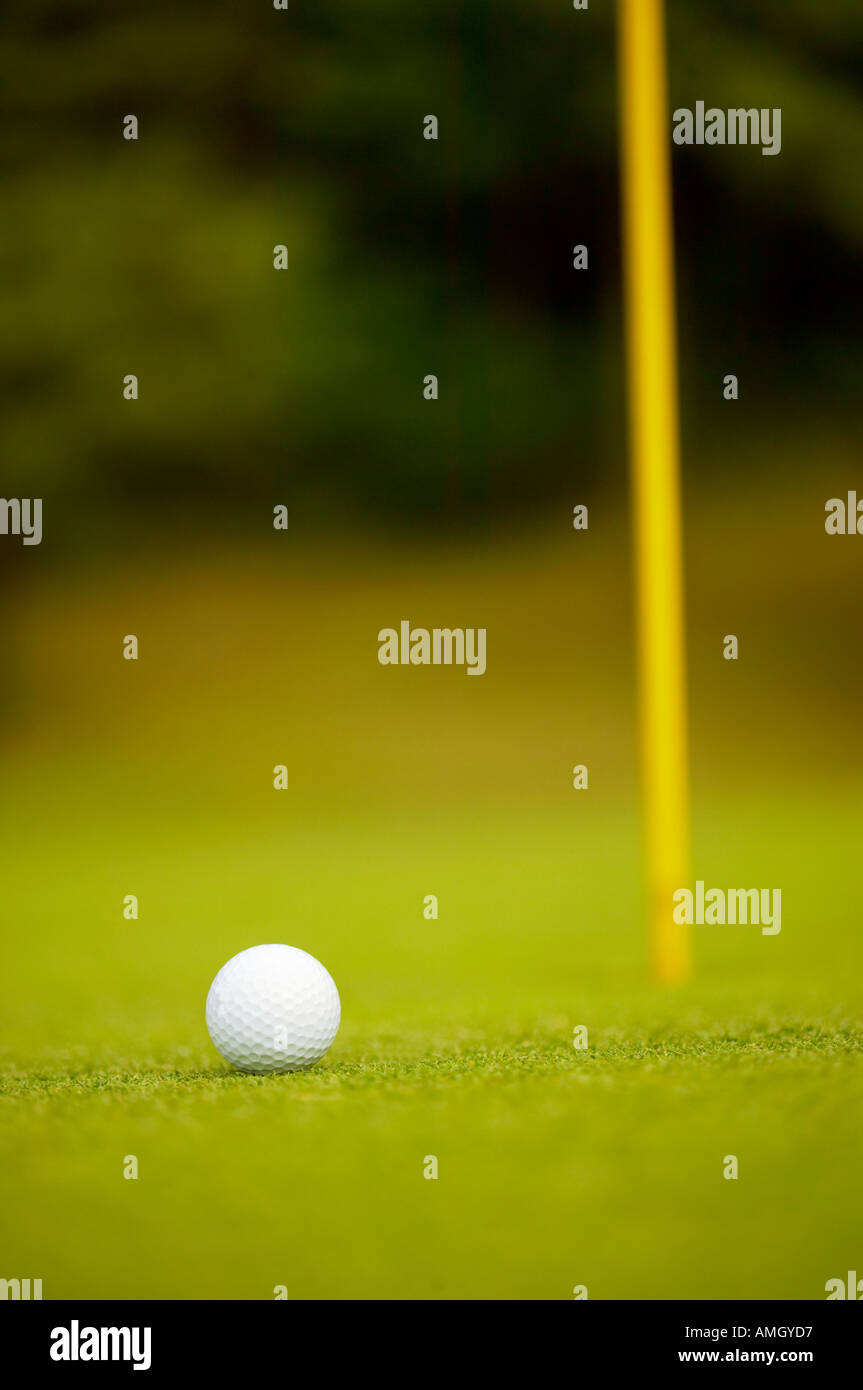 A golf ball in the field Stock Photo Alamy