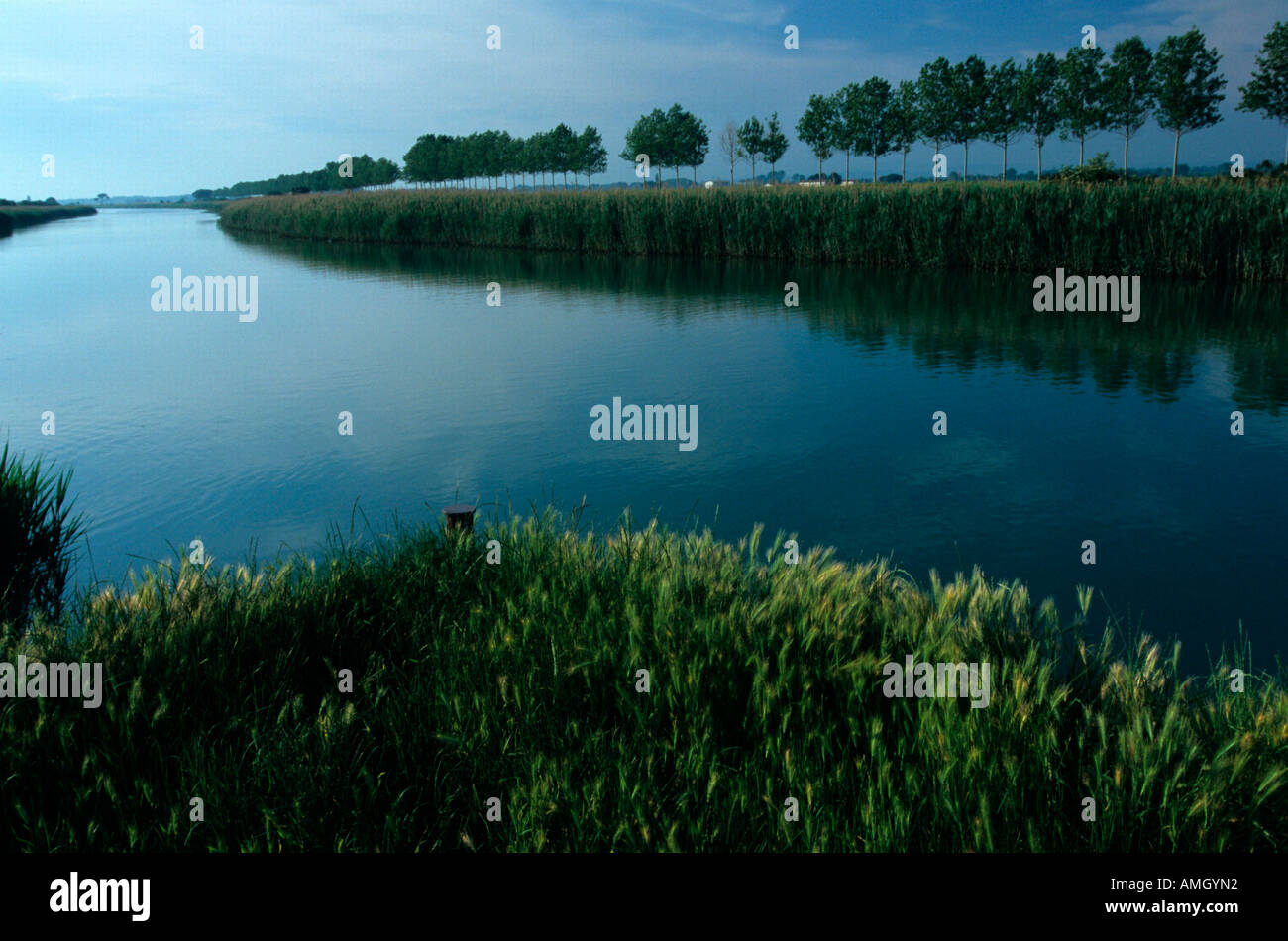 Italien, Veneto, Julisch Venetien, Friuli, Friaul, bei Grado, Isonzo-Delta, Landschaft im Flussdelta Stock Photo