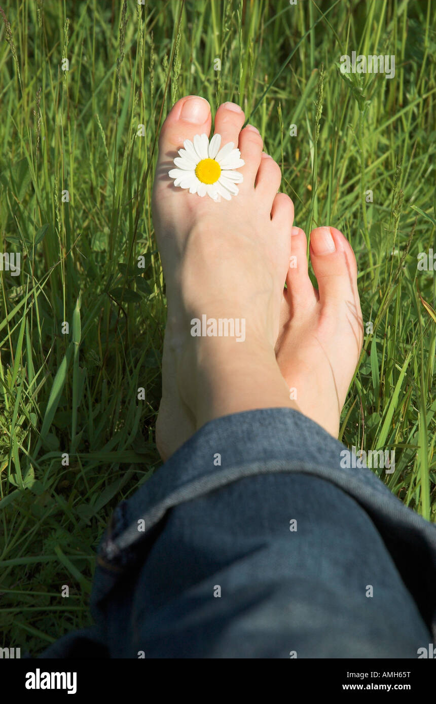 Woman barefoot with daisy flower between toes Stock Photo Alamy