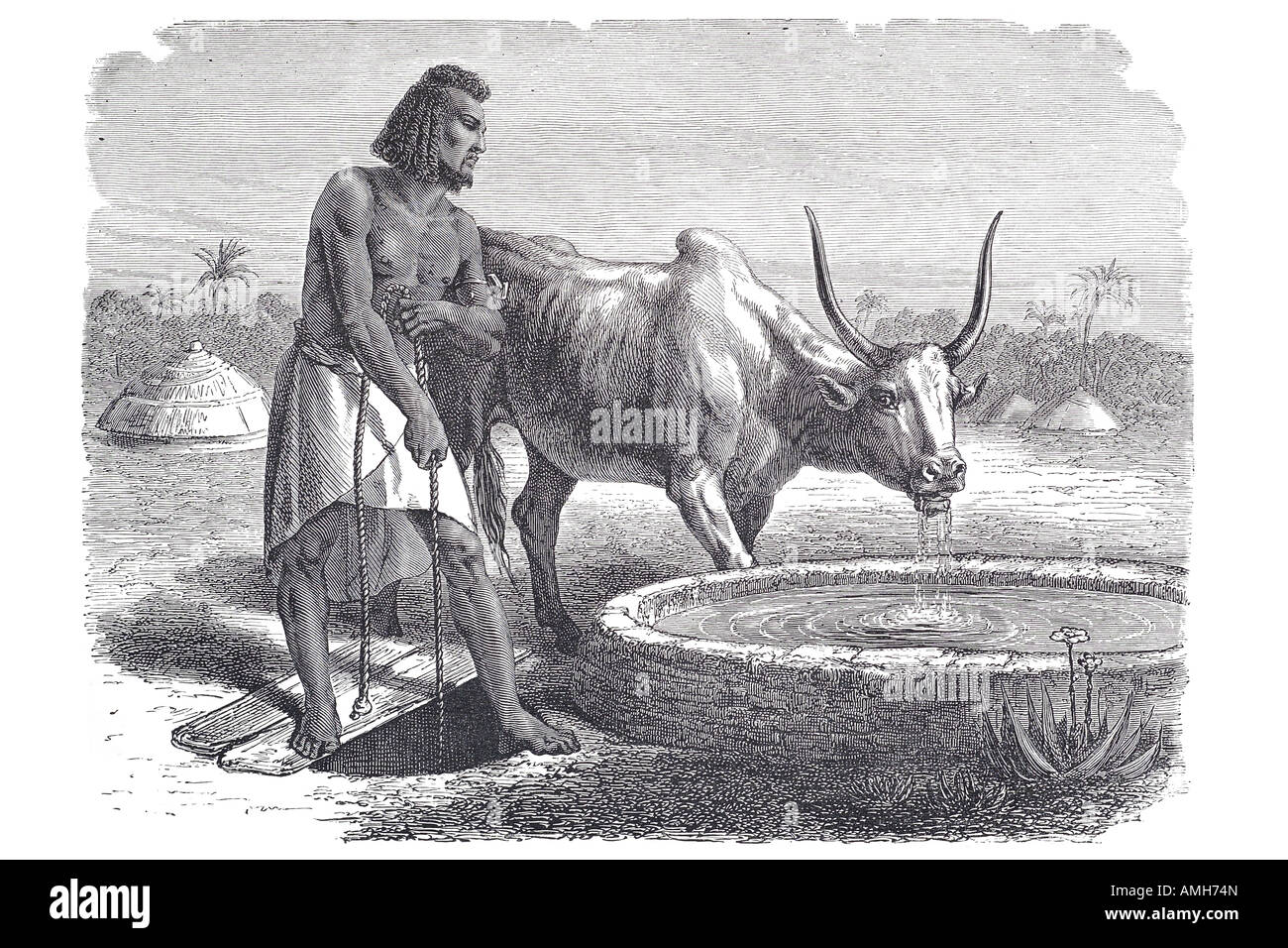 samhar peasant at well arab Fkih ben salah Moroccan marocco Casablanca farmer grove oassis date