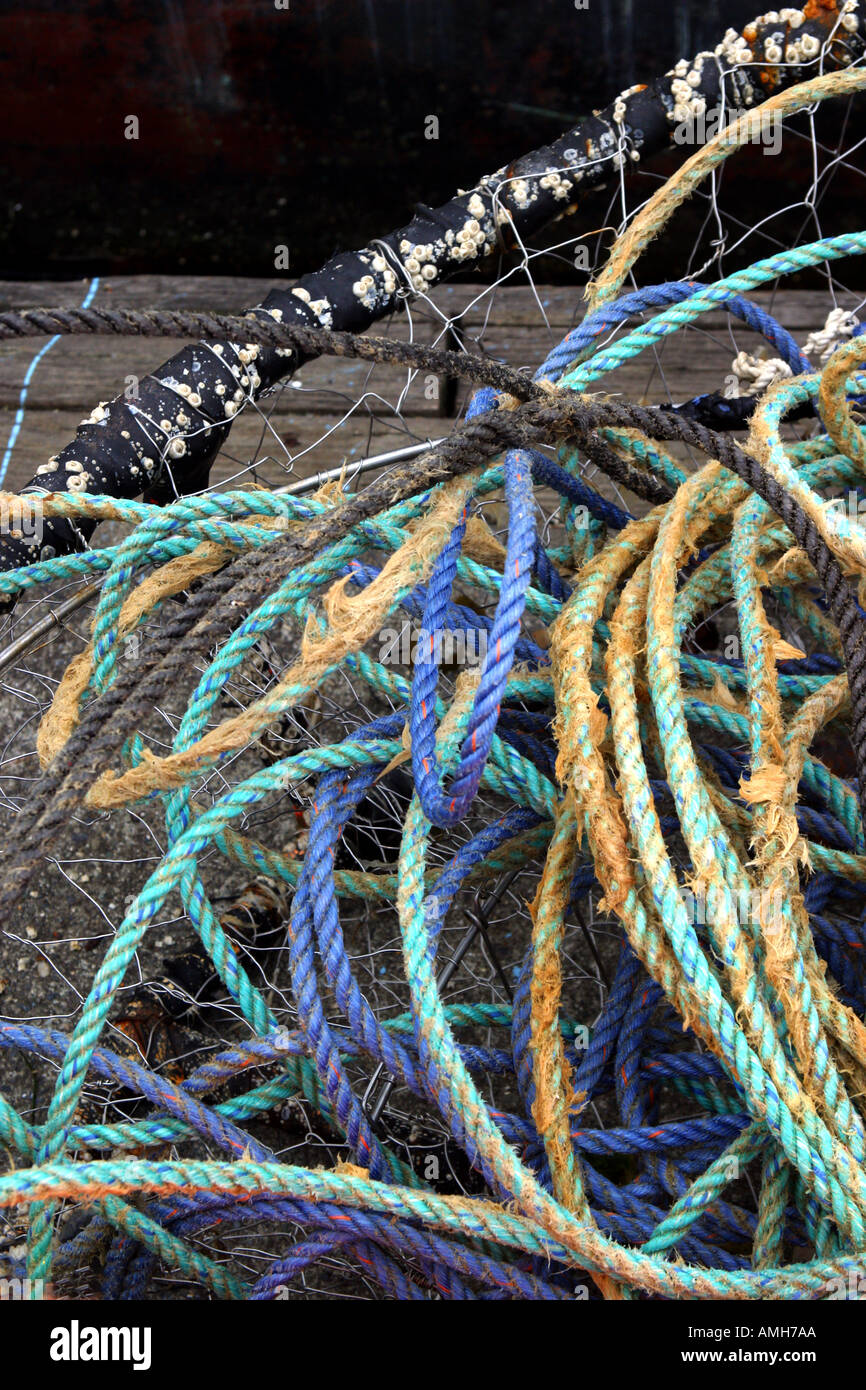 2,130 Tangled Fishing Line Images, Stock Photos, 3D objects, & Vectors