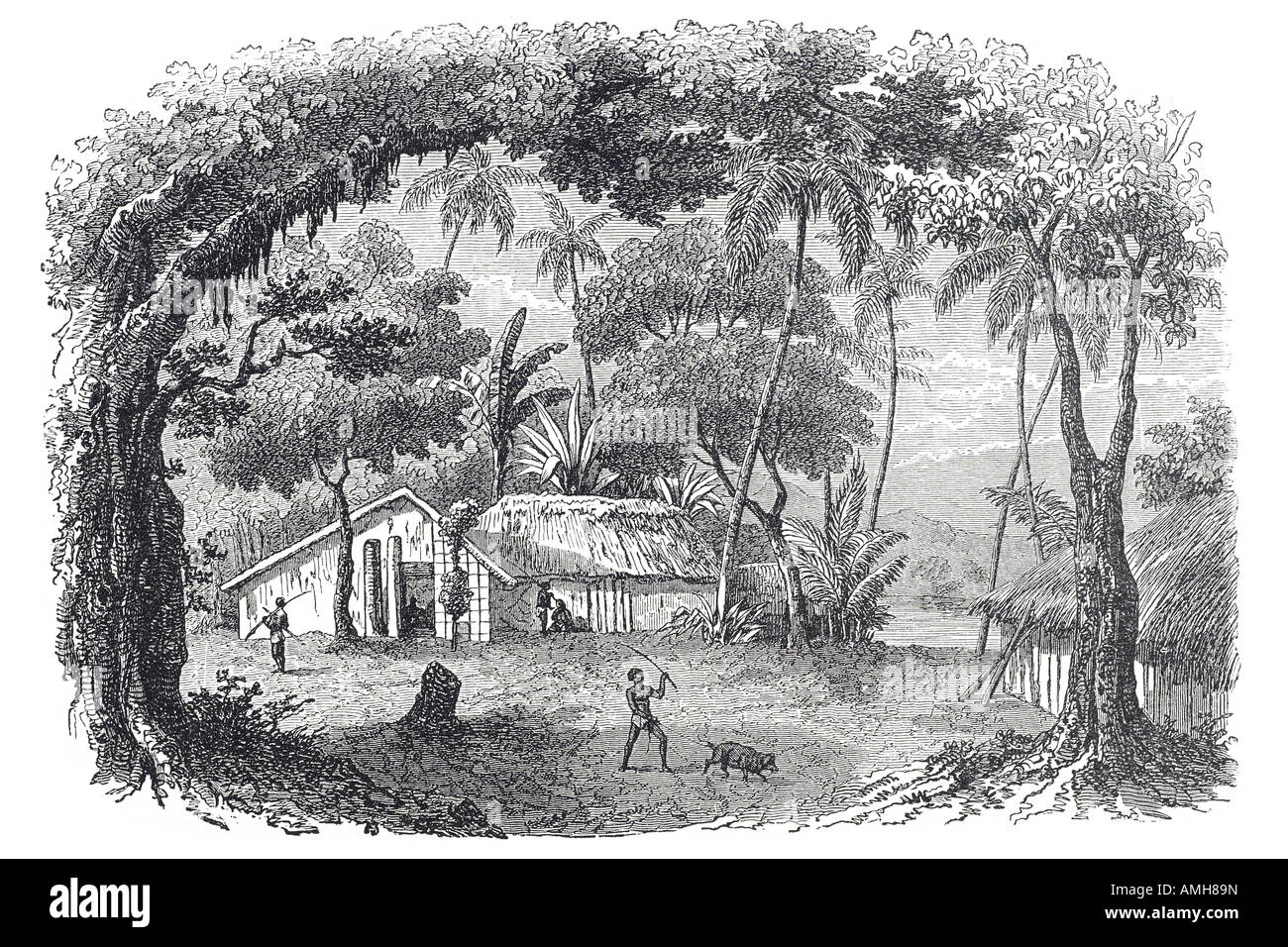 Native Rarotonga native house rarotonga island Cook Island Rarotongan Aitutaki Mangaia ...