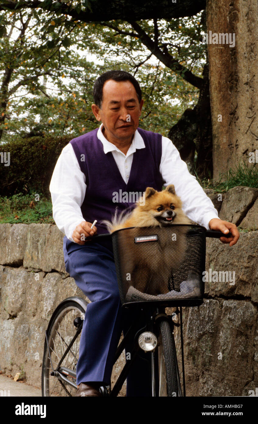 Japan, Kansai, Kyoto, Mann mit Hund auf Fahrrrad Stock Photo