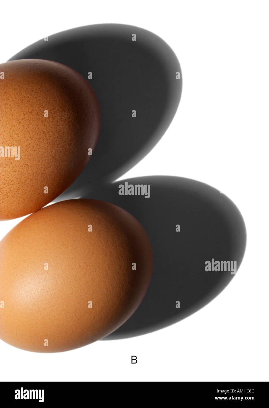 Two eggs with a hard shadow which when view abstractedly form the ...