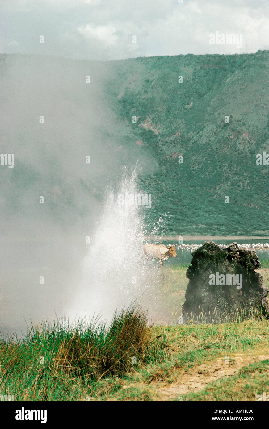 Hot springs of boiling water and steam jets at Lake Bogoria in the Great Rift Valley Kenya Stock Photo