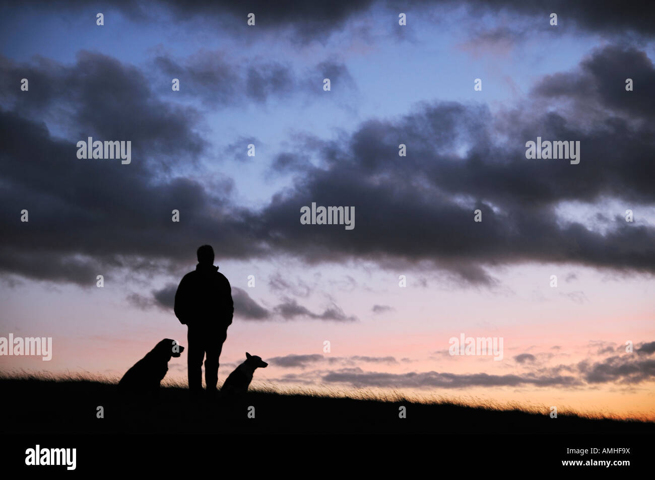 Man With His Dogs on a Hillside Silhouetted by the Dusk Sky Stock Photo