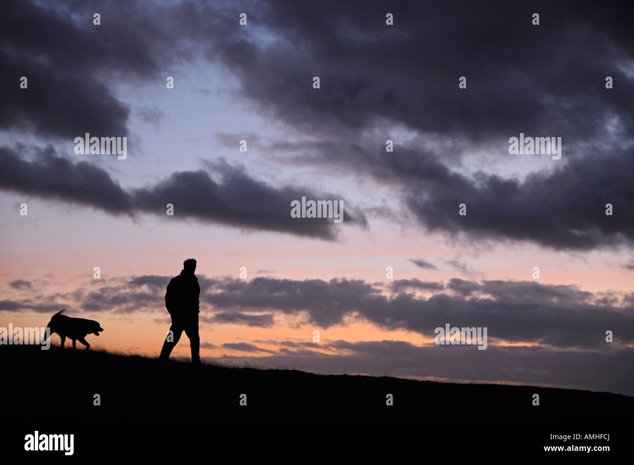 Man Walking His Dog Through a Field Silhouetted by the Dusk Sky Stock Photo