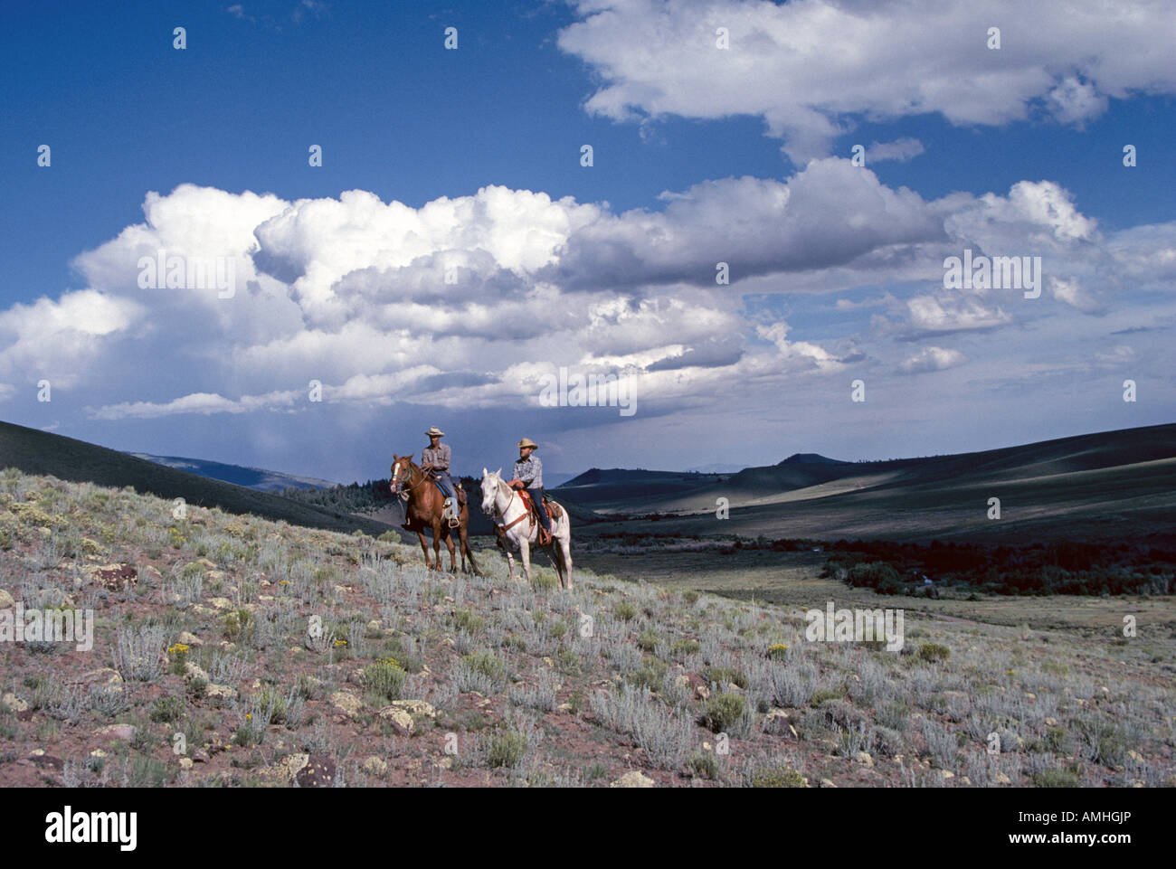 Two ranch cowboys in the high desert in northern New Mexico Stock Photo