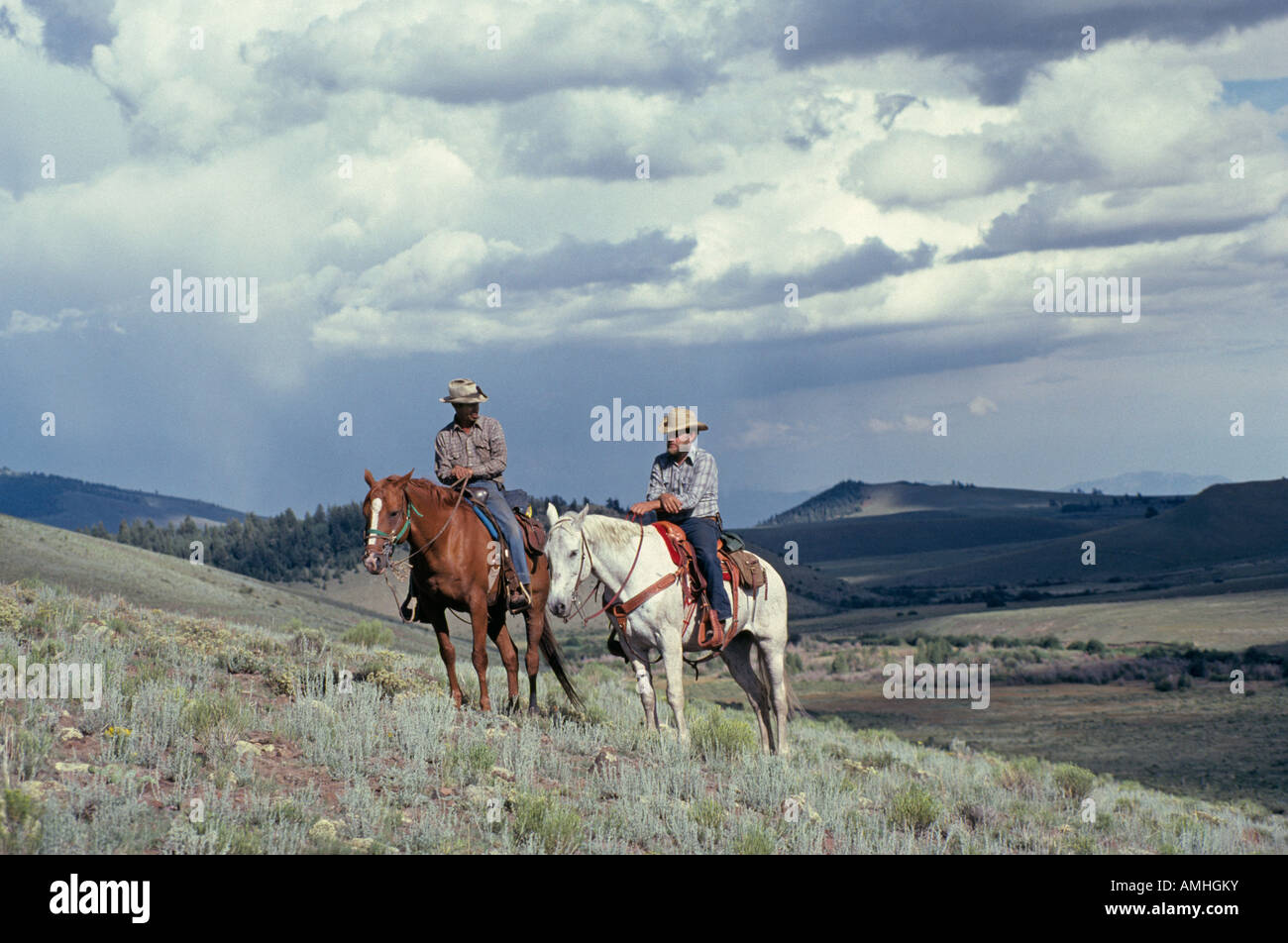 Two ranch cowboys on a large cattle ranch in northern New Mexico Stock Photo