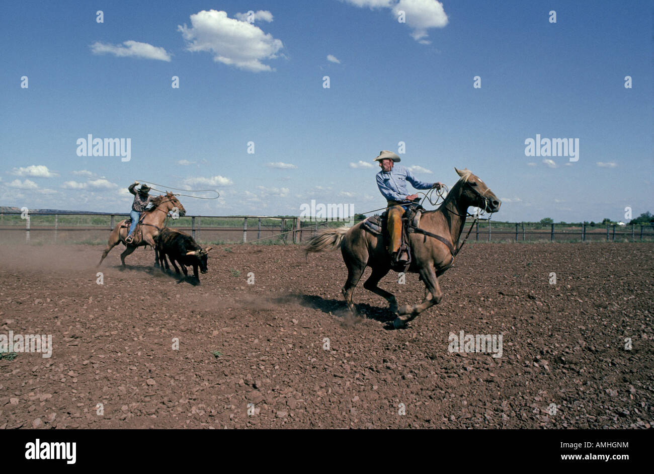 USA TEXAS Two cowboys practice roping steers on a large cattle ranch near Post Texas in the Texas panhandle Stock Photo