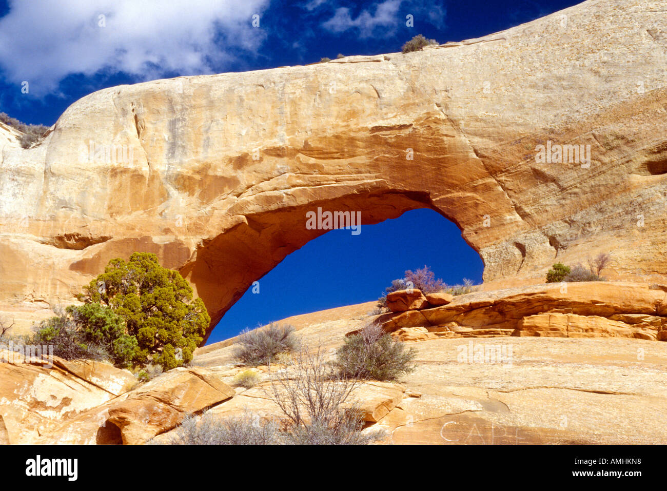 Window Rock Arch in southern UT Stock Photo Alamy