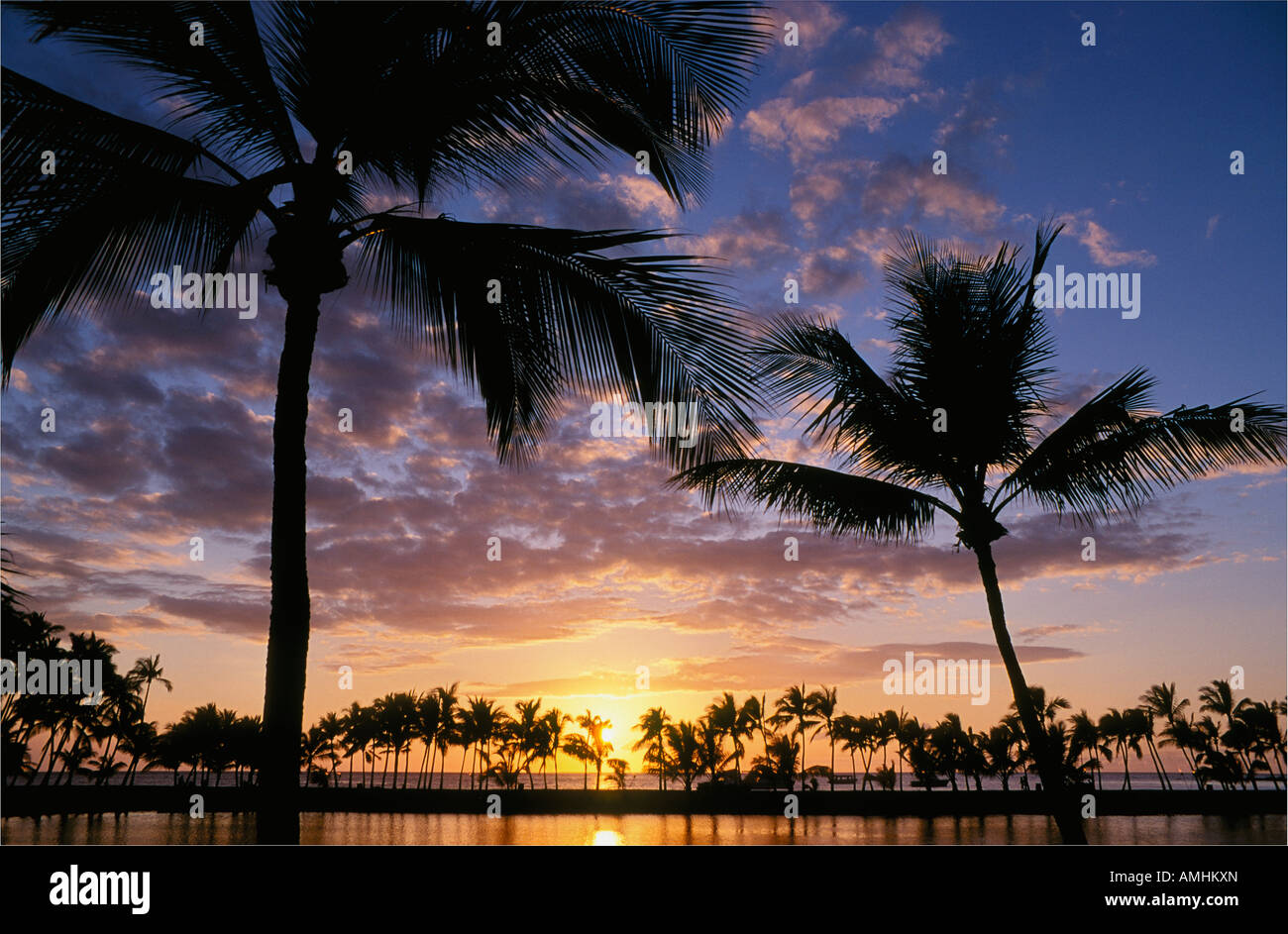 Coconut palm trees at sunset Anaehoomalu Bay Waikoloa beach resort Kohala Coast Island of Hawaii with Kuualii fishpond Stock Photo